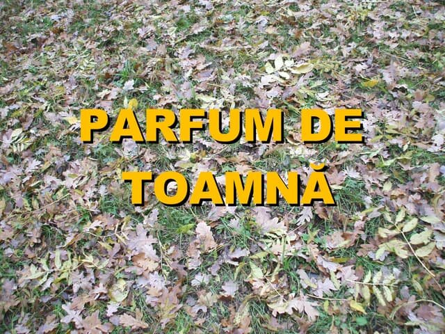 Alte opțiuni parfumate pentru toamnă