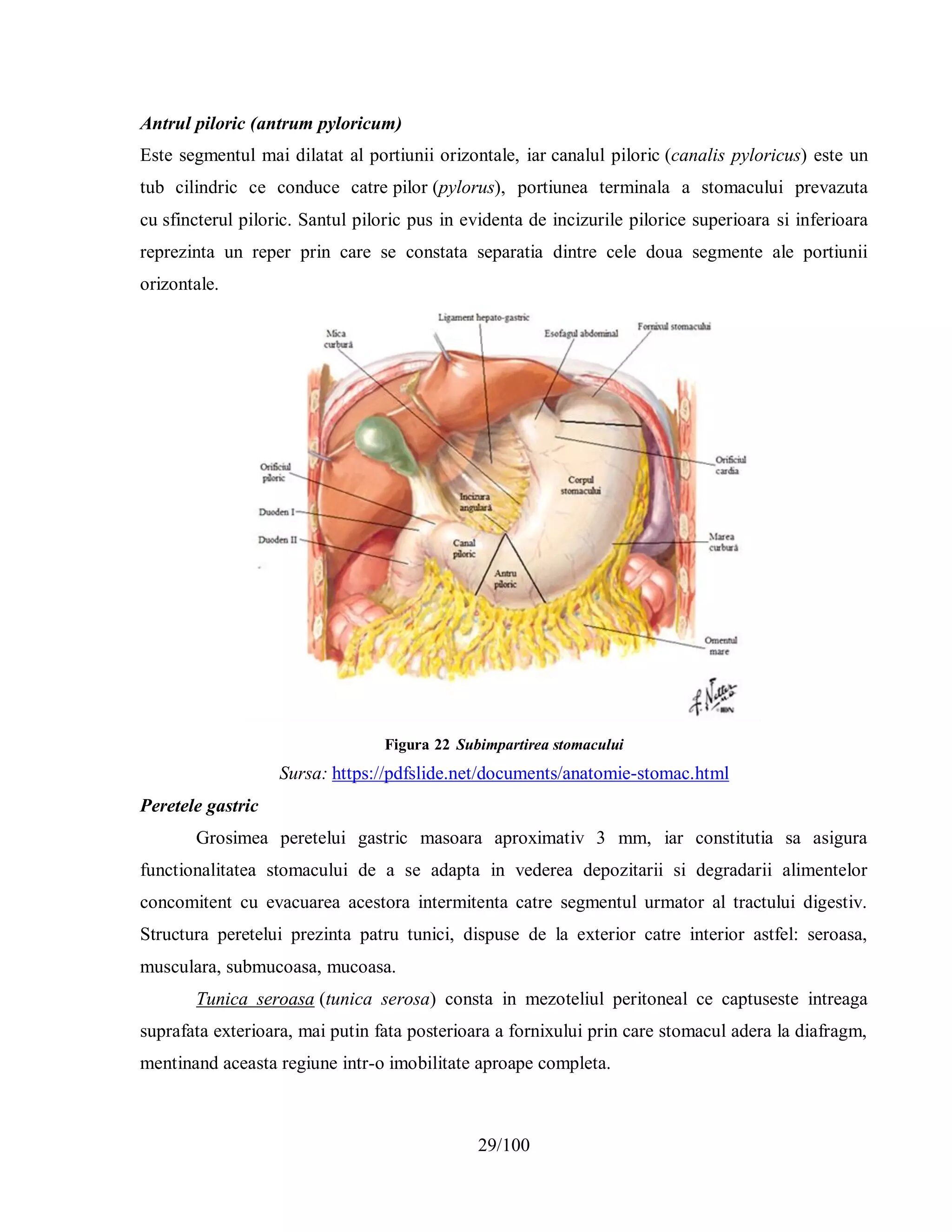 Anatomii diferite de plăci