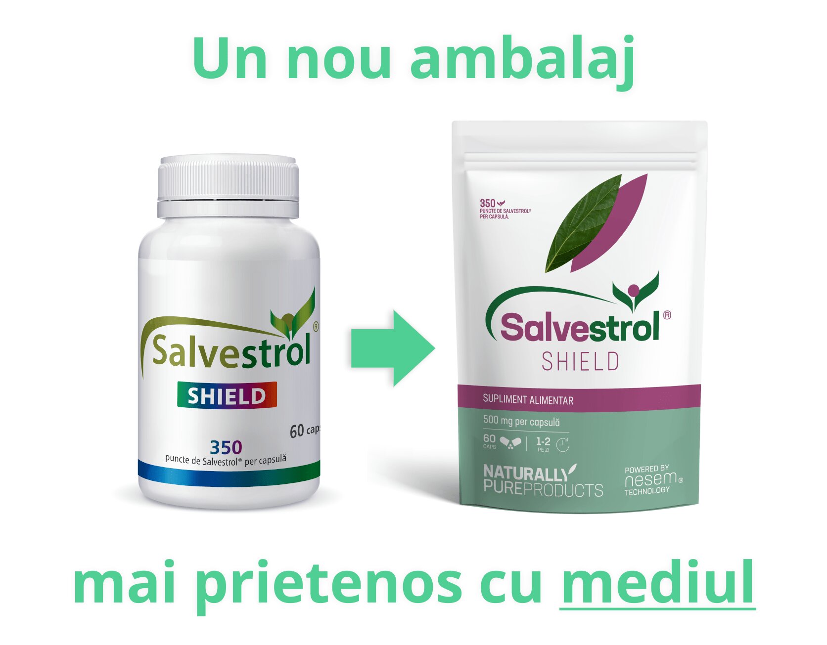 Anti-îmbătrânire și regenerare celulară