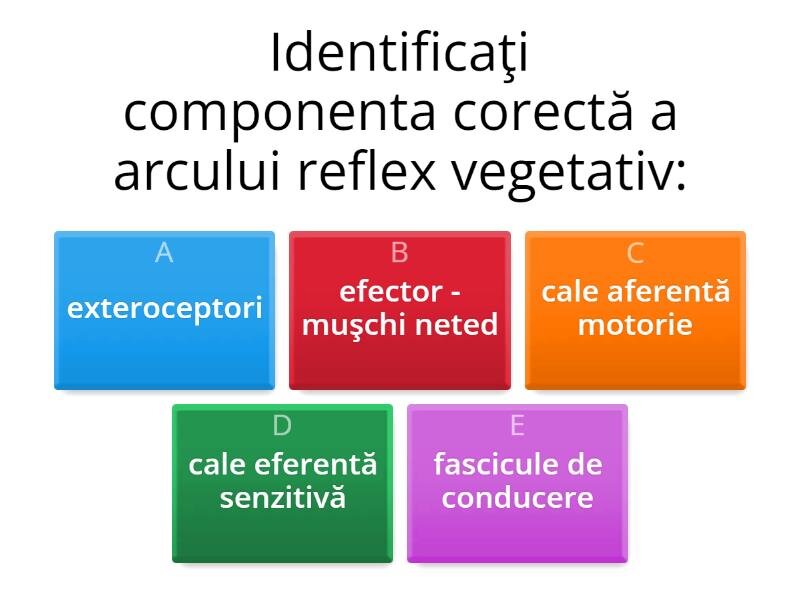 Aplicarea și efectul reflexiilor