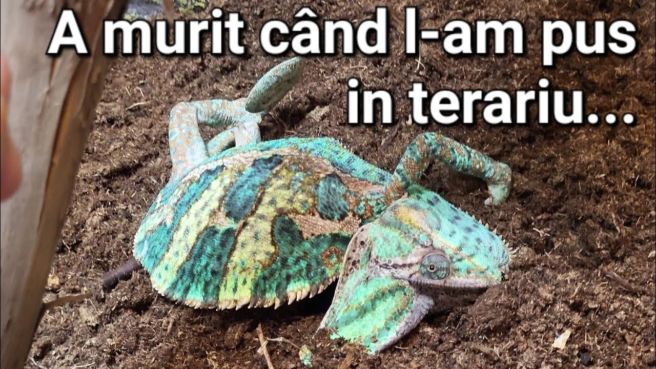 Avantajele iluminatoarelor lichide
