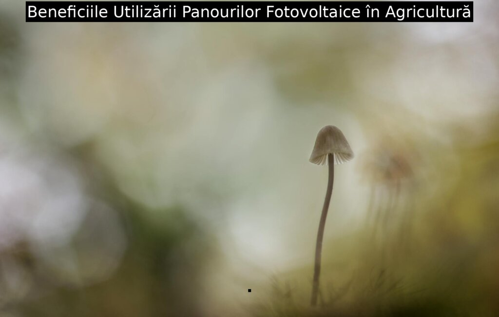 Beneficiile utilizării serului