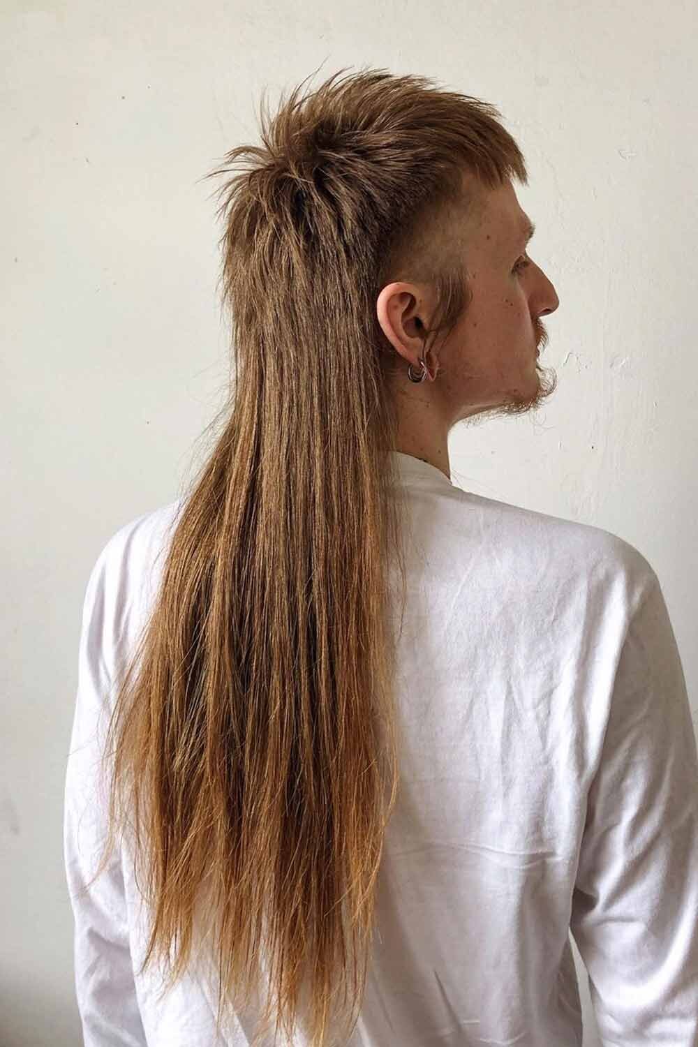 Caracteristici ale Mullet-ului