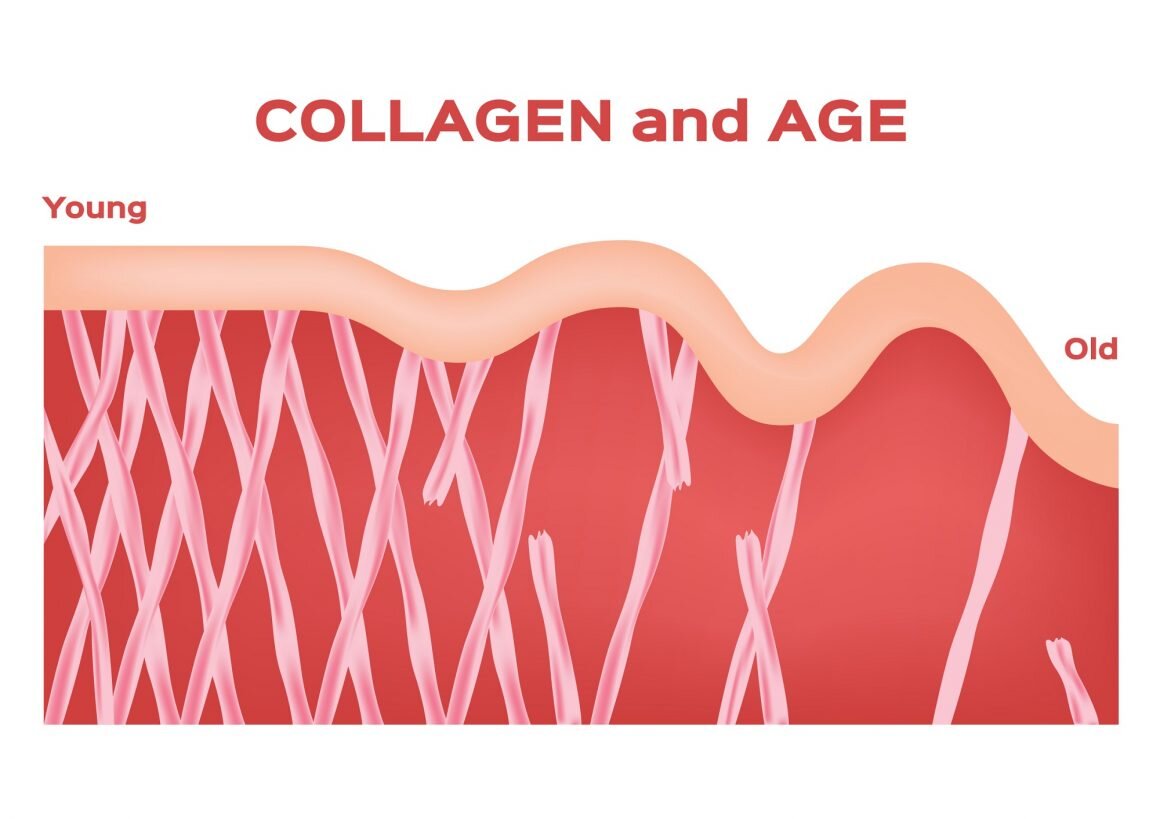 Collagen Power Lifting Cream: combate ridurile