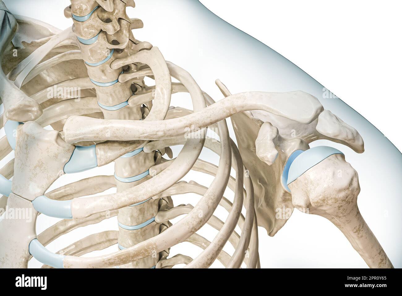 Collarbone bob: la înălțimea claviculelor, cu straturi pentru volum