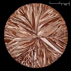 Copper, arămiu, cireș