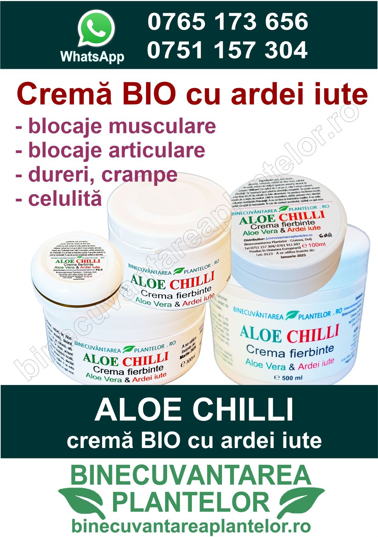 Crema cu semințe de chia, apă de in și aloe vera