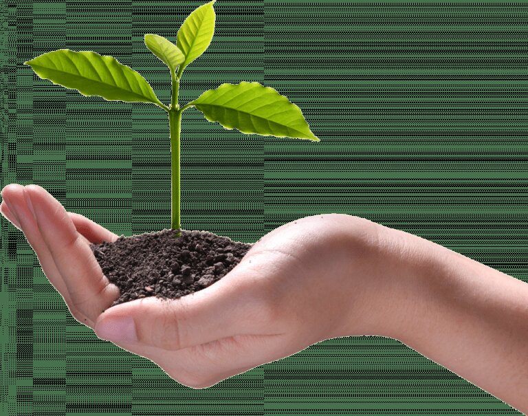 Durabilitate și responsabilitate ecologică.