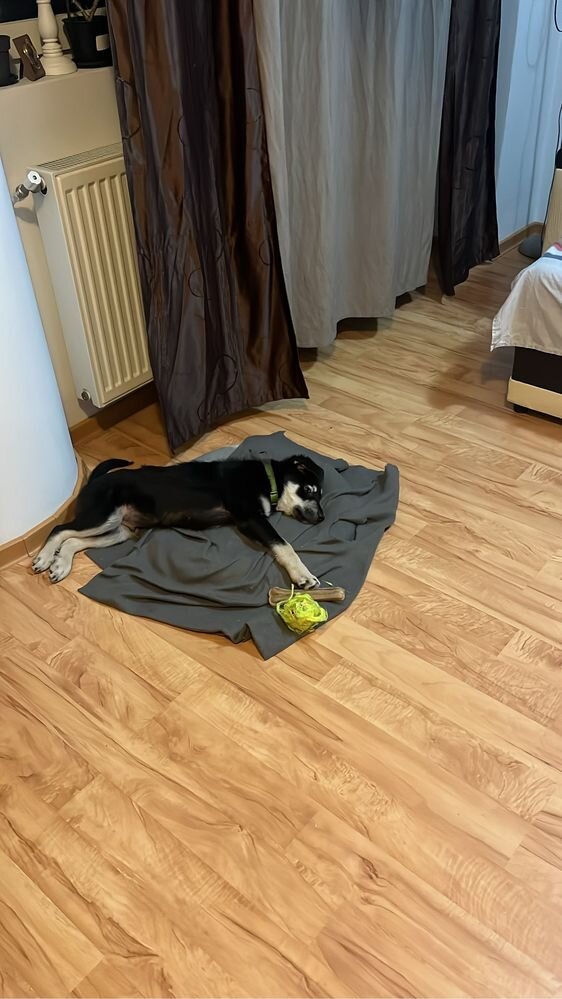 Durata efectului: 3-6 luni
