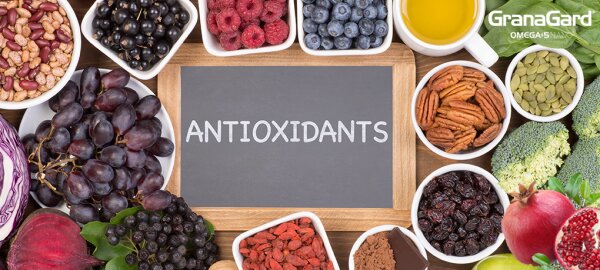 Efecte antioxidante puternice