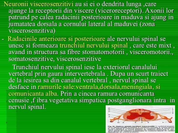 Efectul diferit al șuvițelor și reflexiilor