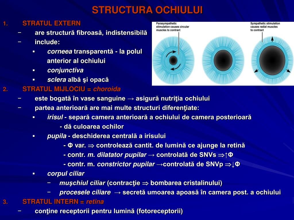 Evidențierea zonei inferioare a ochiului