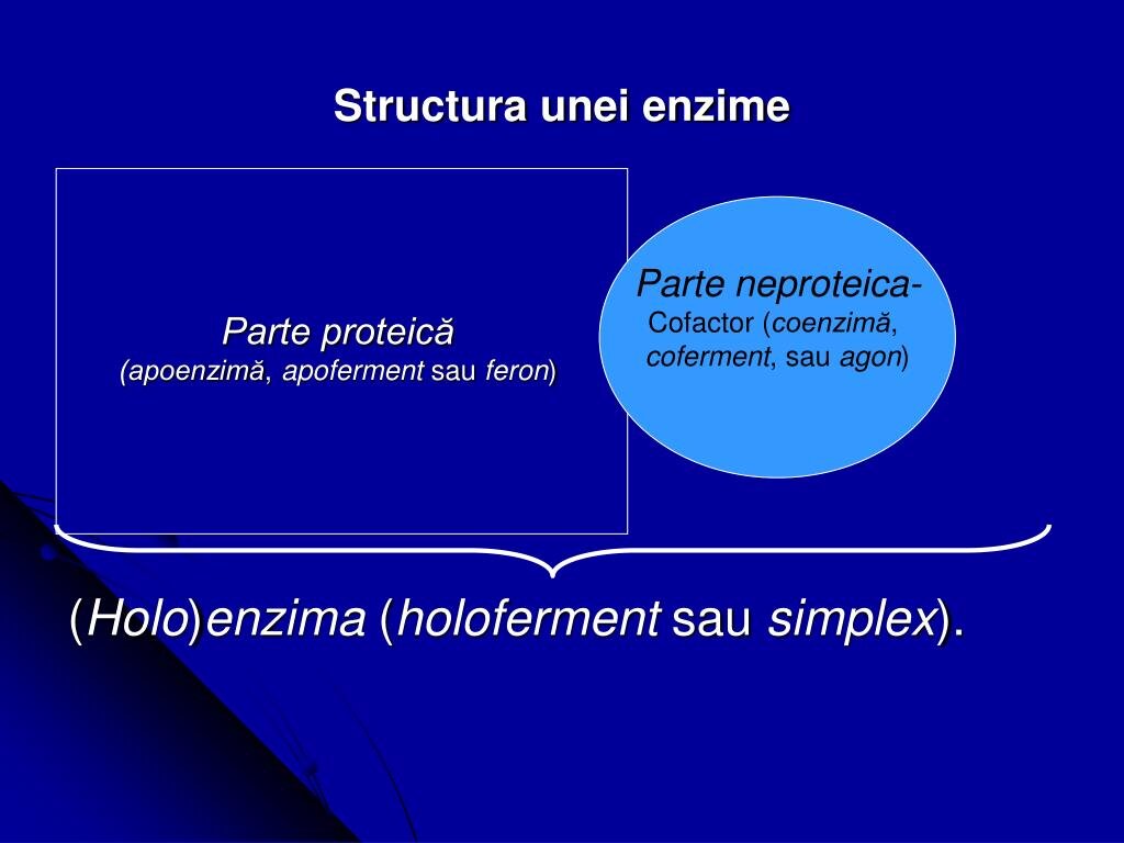 Exfolieri enzimatice