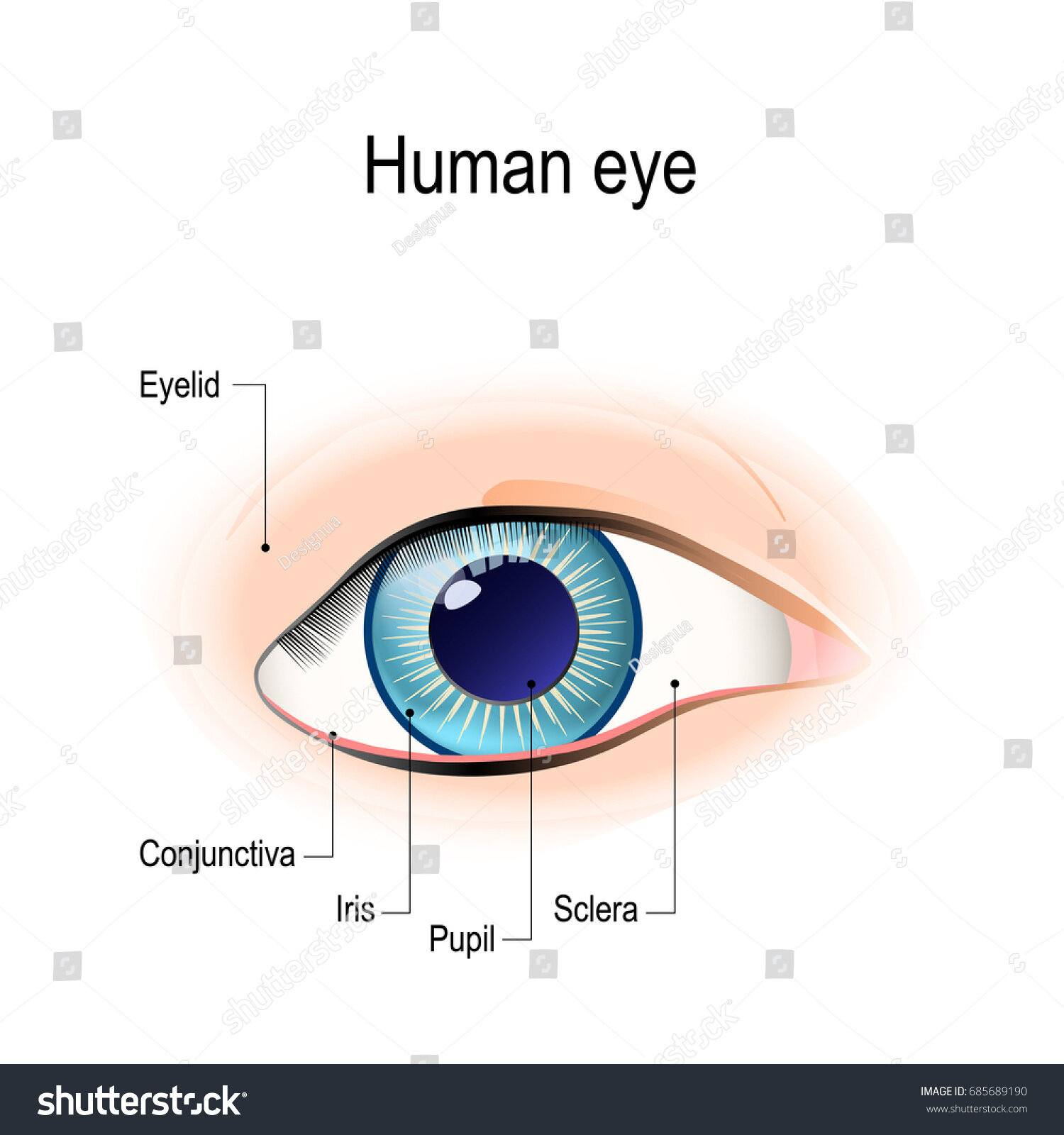 Eye Pad Mask (cu preț accesibil)