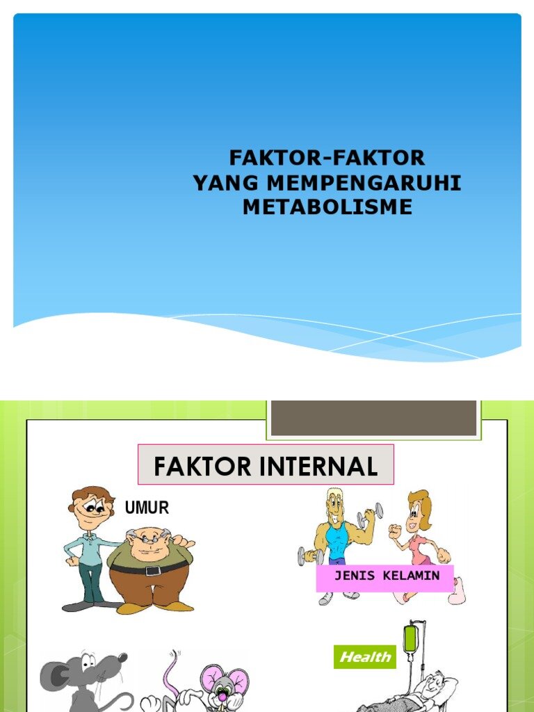 Factorii care influențează metabolismul