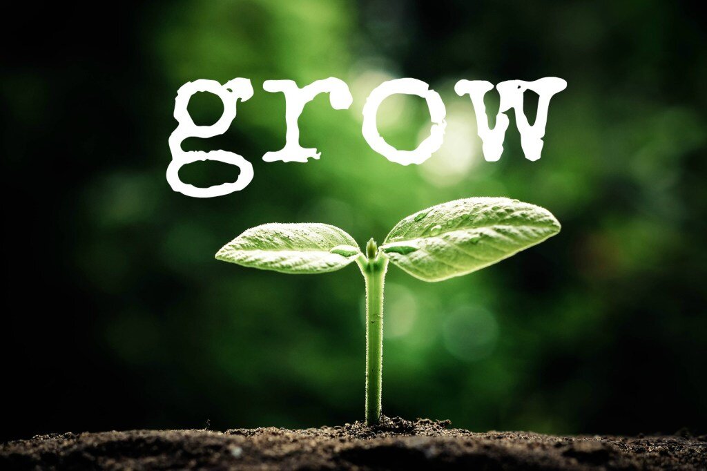 Grow Gorgeous Intense: creștere și volum