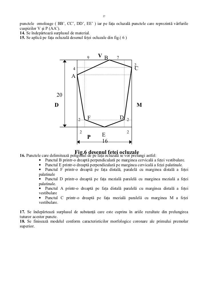 Harmonizarea proporțiilor și a formei dinților