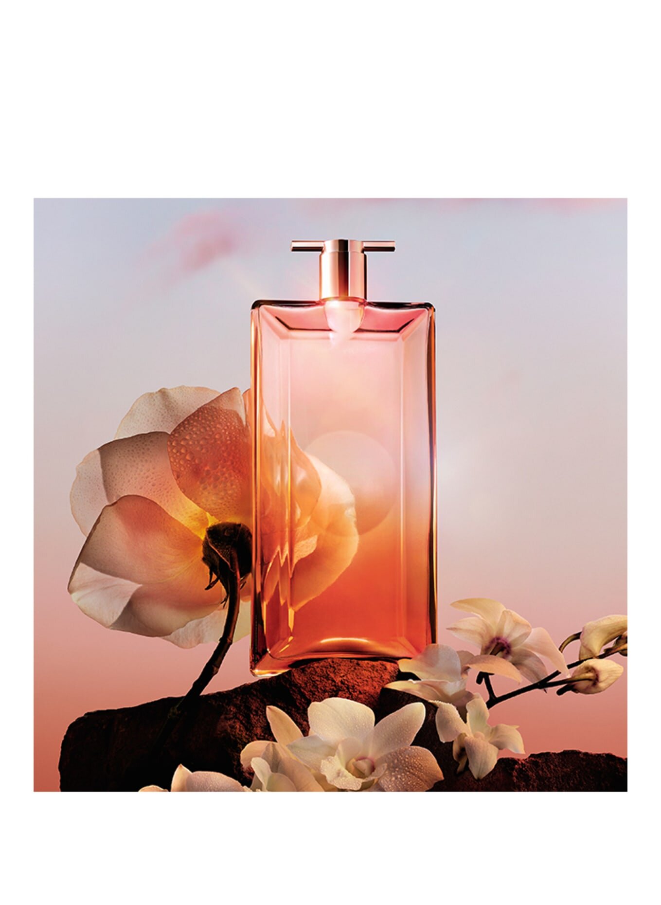 Idôle de la Lancôme
