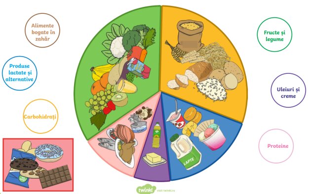 Importanța grupelor alimentare