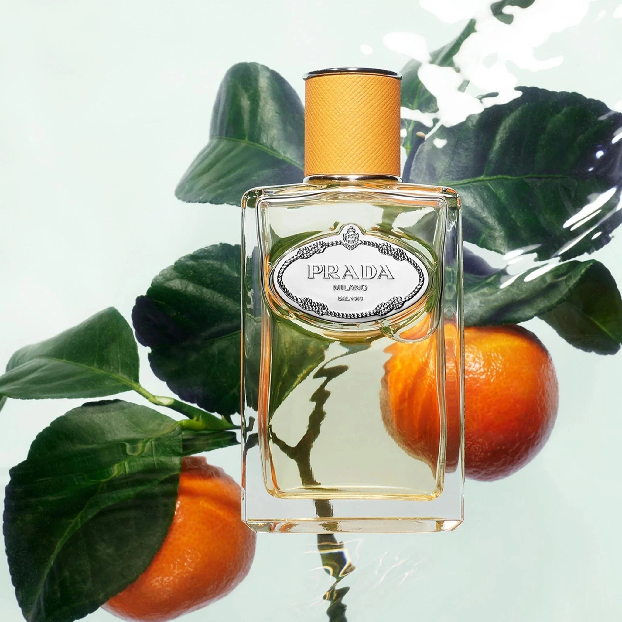 Infusion de Mandarine - suculent și citric
