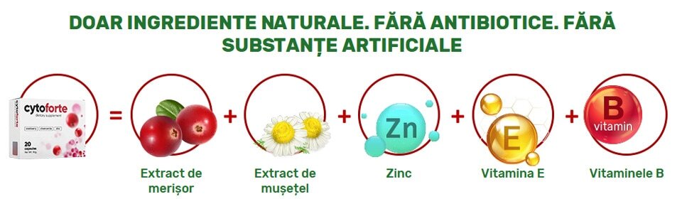 Ingredientele active și modul de acțiune