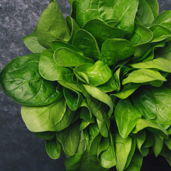 Ingrediente nutritive și reparatoare