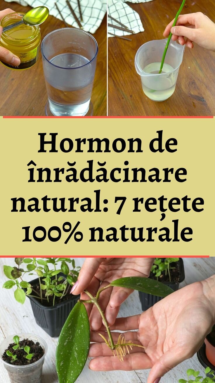 Integrează natural, reduce retușurile frecvente