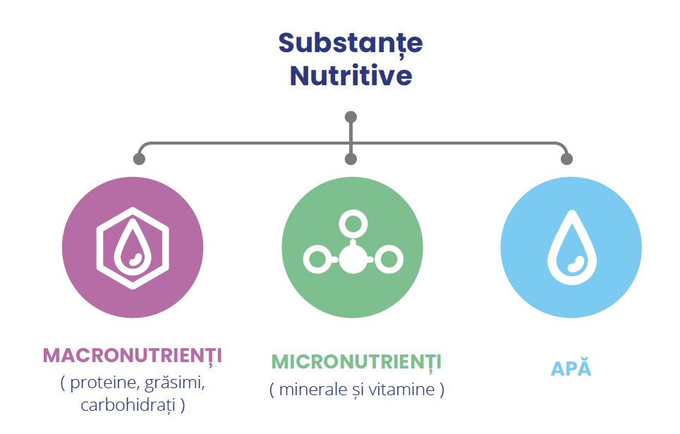 Lipsa nutrienților esențiali