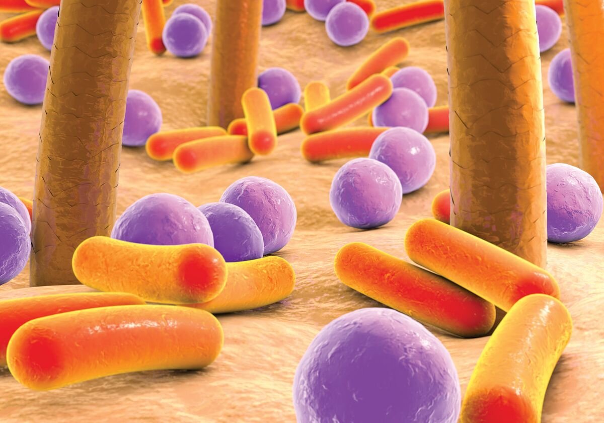Microbiota cutanată și sănătatea pielii
