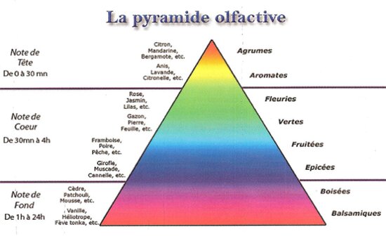Note olfactive
