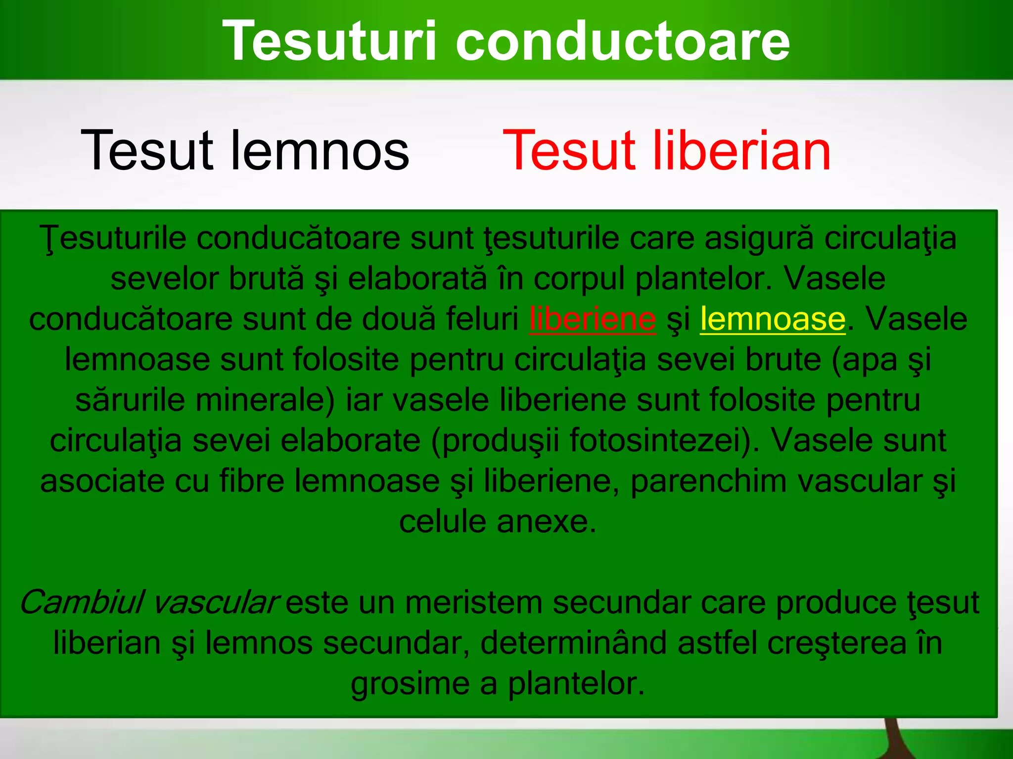 Întinderea țesuturilor