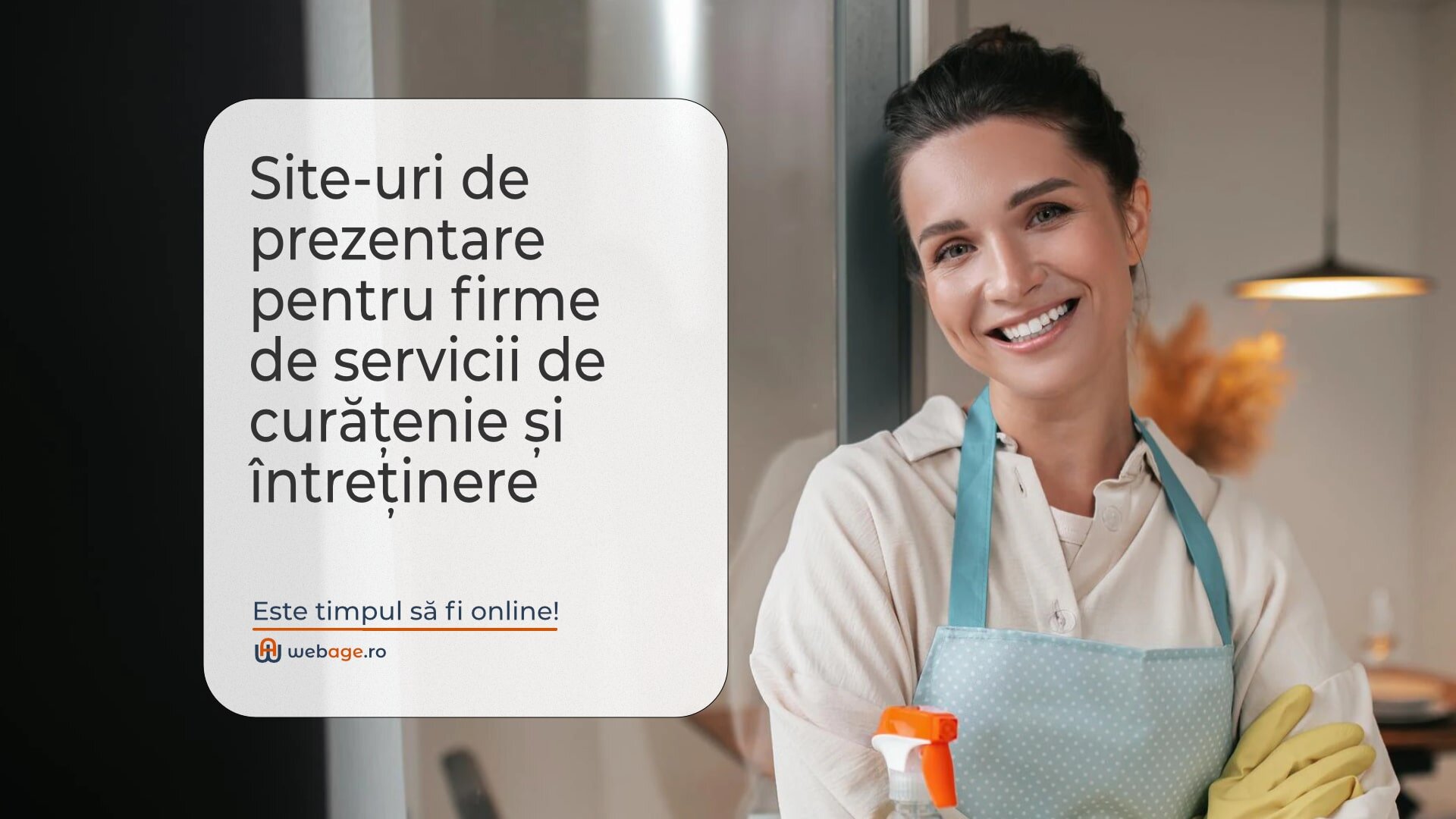 Întreținere