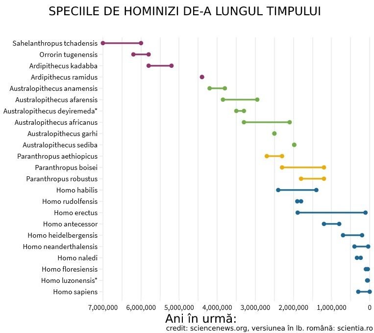 Origini și specificitate
