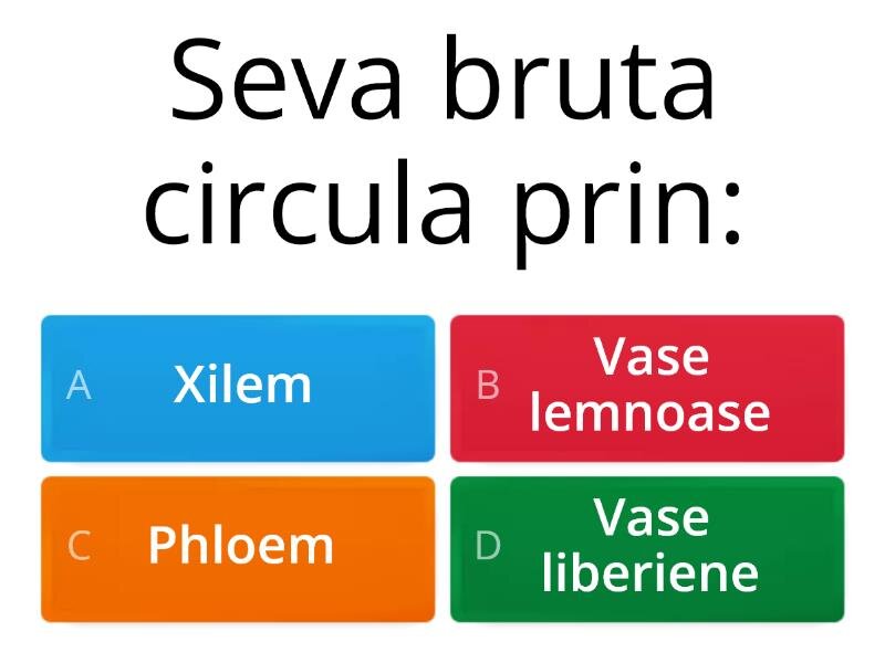 Potențarea absorbției ingredientelor active