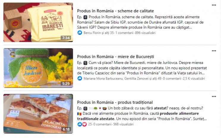 Produsă în țară