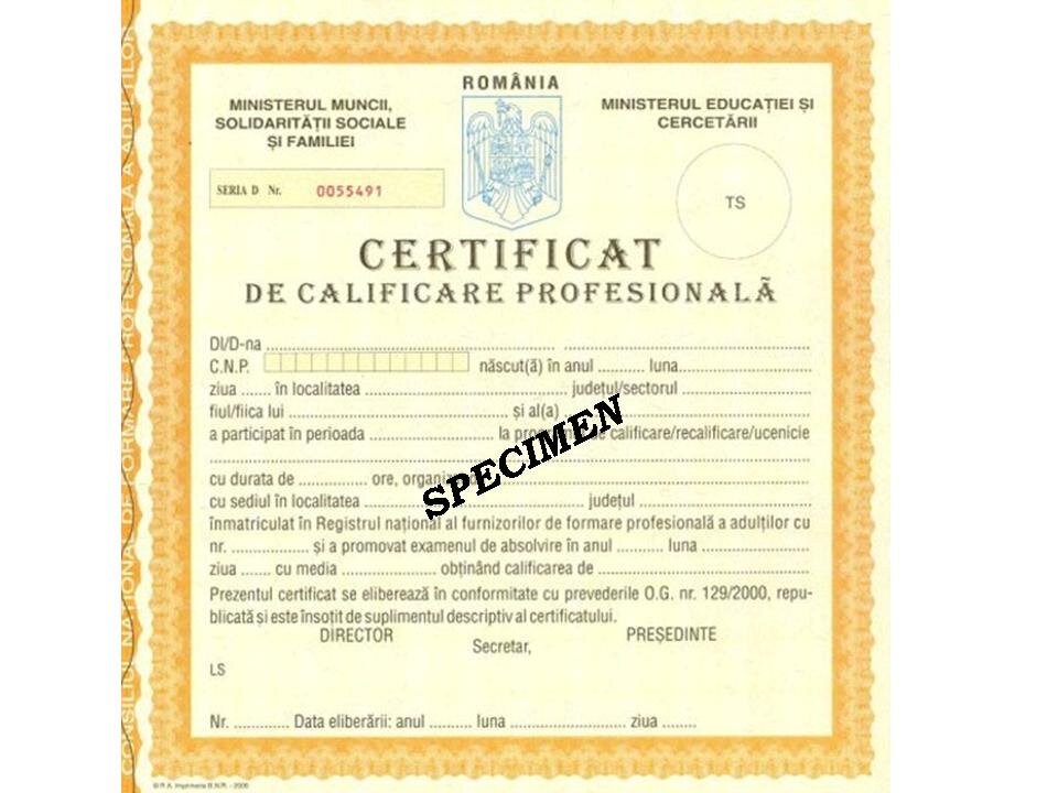 Profesioniștii recunoscuți