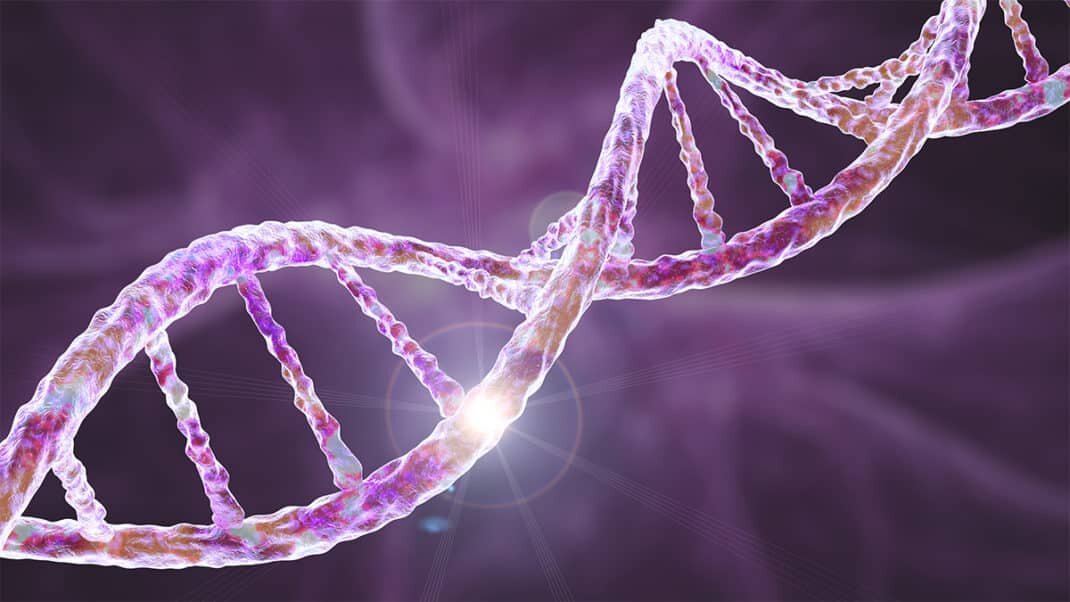 Rase predispuse genetic