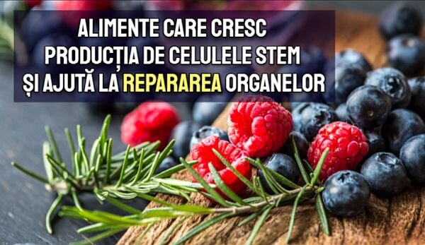 Repararea celulelor deteriorate