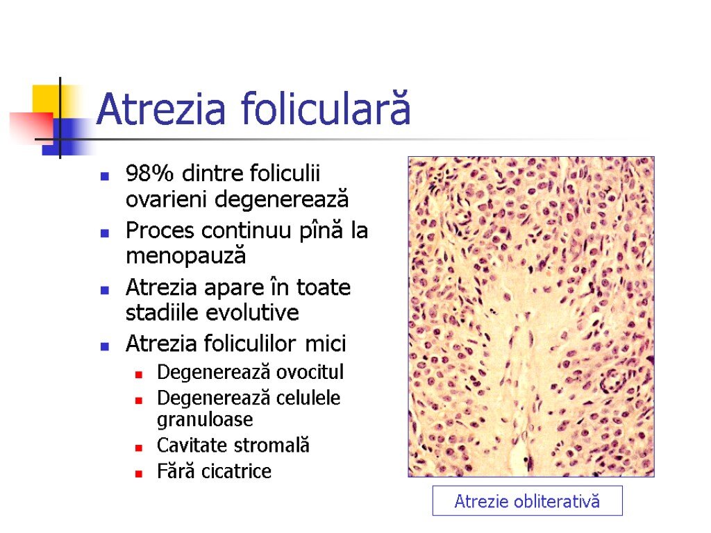 Reparare și întărire foliculi