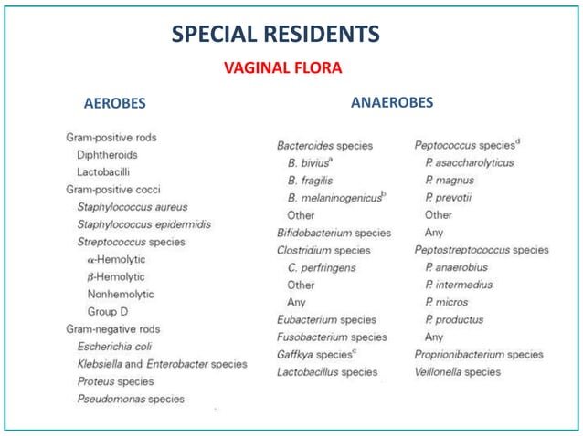Respectă flora bacteriană a pielii