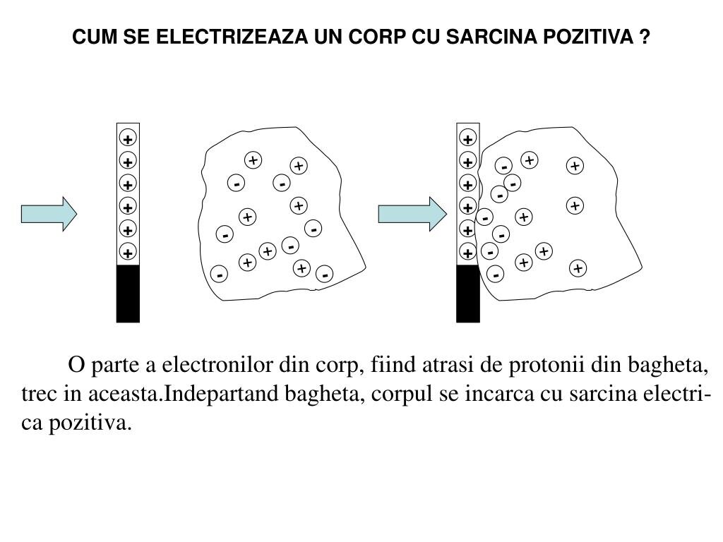 Revitalizează vârfurile și reduce electrizarea