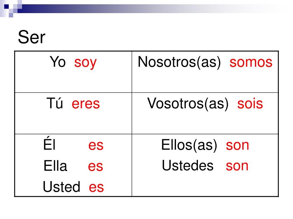 Ser The Inkey List