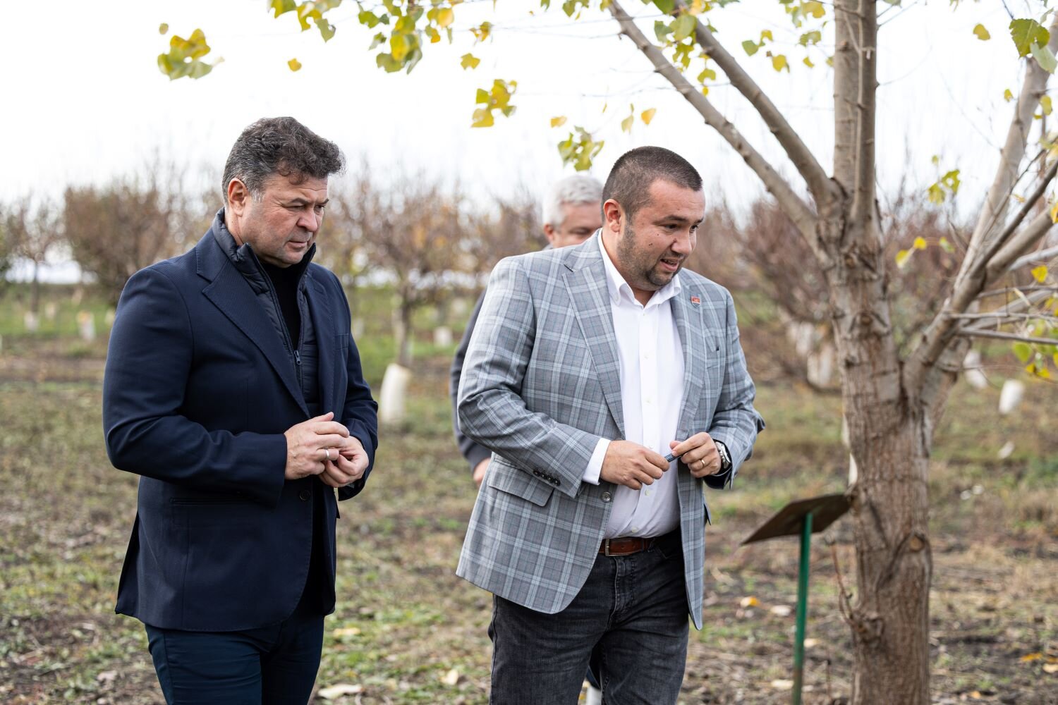 Tratamente reparatoare: o soluție modernă