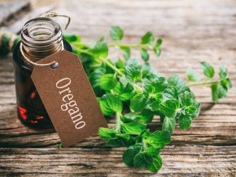 Ulei de oregano