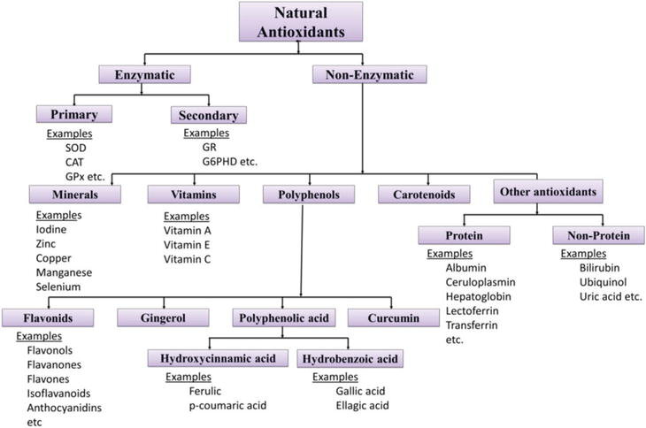 Un nou ingredient antioxidant