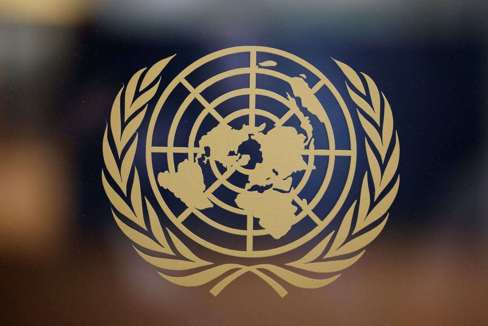 Un produs low-cost, viral pe rețelele sociale