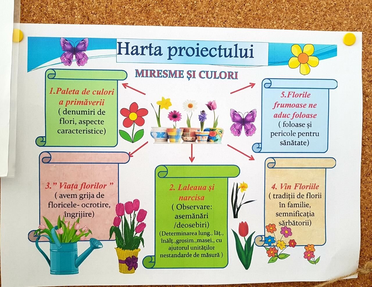 Utilizări și rezultate